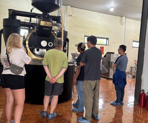UNESCO Gong Heritage & Traditional Ede Cuisine Dak Lak Cacao Tour: tasting fresh cacao and exploring cacao plantations in Đắk Lắk
