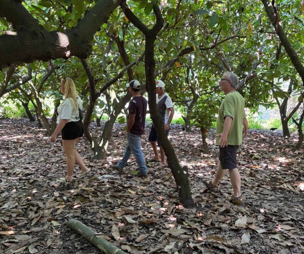UNESCO Gong Heritage & Traditional Ede Cuisine Dak Lak Cacao Tour: tasting fresh cacao and exploring cacao plantations in Đắk Lắk