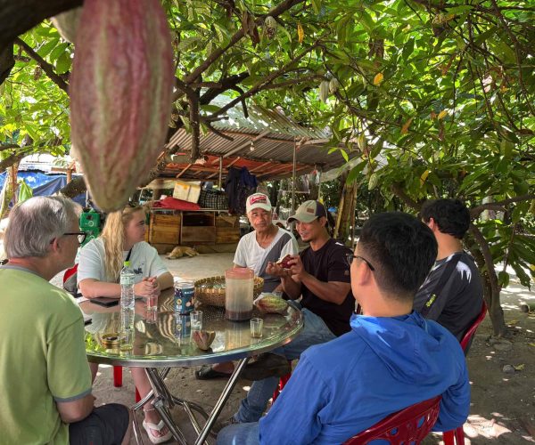 UNESCO Gong Heritage & Traditional Ede Cuisine Dak Lak Cacao Tour: tasting fresh cacao and exploring cacao plantations in Đắk Lắk