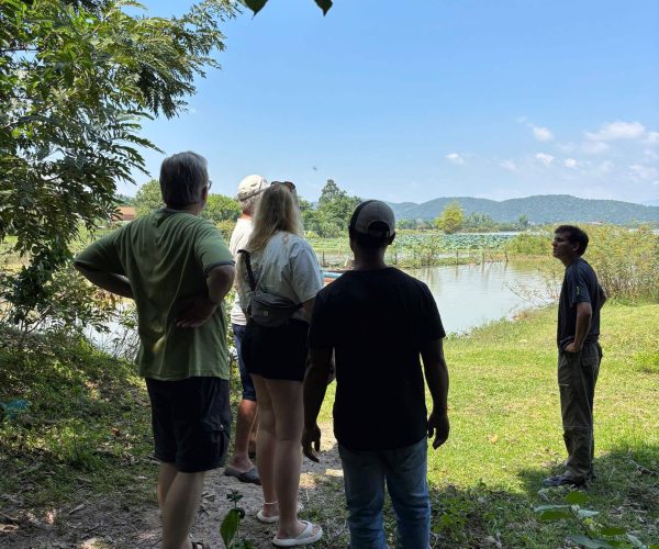 UNESCO Gong Heritage & Traditional Ede Cuisine Dak Lak Cacao Tour: tasting fresh cacao and exploring cacao plantations in Đắk Lắk