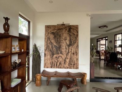 Eco-friendly homestay in Đắk Lắk with garden views, rustic rooms, and local farm experiences at Greentraveller.