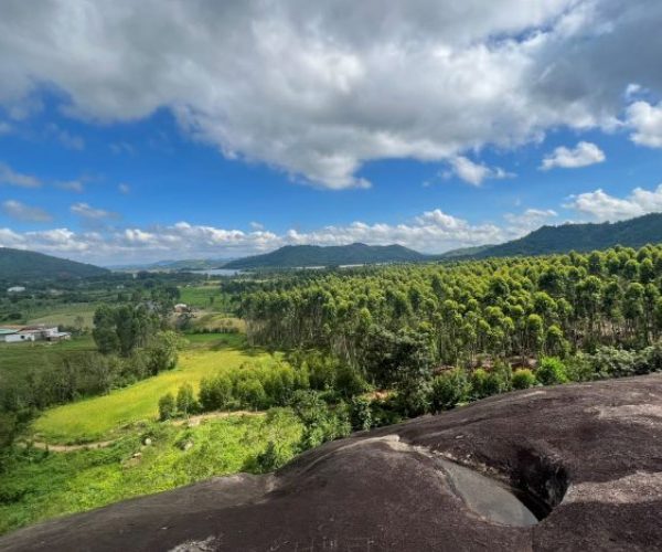 yang-tao-elephant-rock-1
