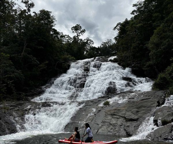 UNESCO Gong Heritage & Traditional Ede Cuisine Trekking through Chu Yang Sin National Park and relaxing in natural baths.