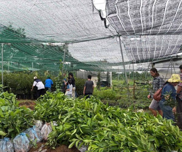 Eco-Farming Project in Dak Lak