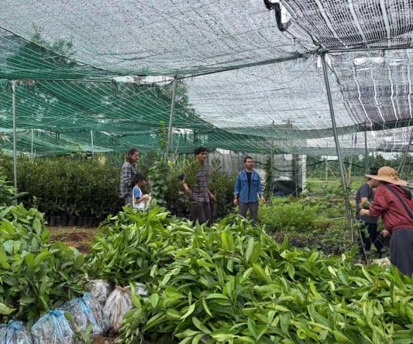 Eco-Farming Project in Dak Lak