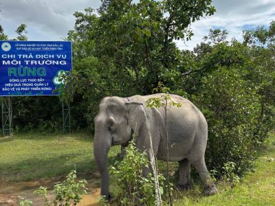 Chu Yang Sin National Park | Adventure Trail