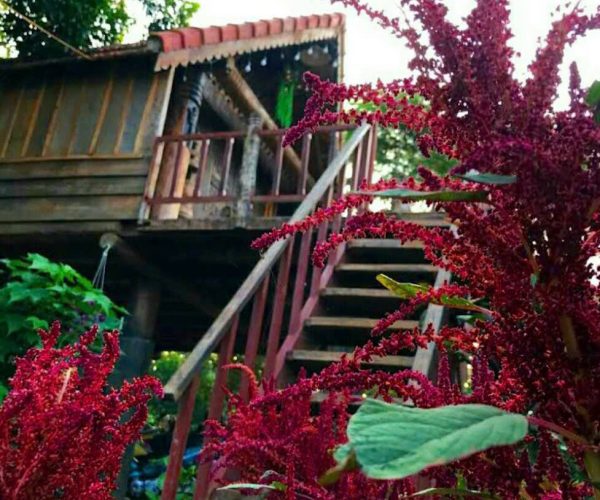 Ede culture experience with local cuisine and Dray Nur Waterfall tour in Dak Lak