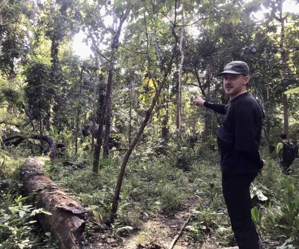 UNESCO Gong Heritage & Traditional Ede Cuisine Experience the beauty of Yok Don National Park with elephants and breathtaking natural surroundings.