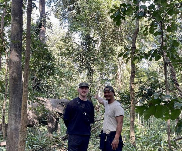 UNESCO Gong Heritage & Traditional Ede Cuisine Experience the beauty of Yok Don National Park with elephants and breathtaking natural surroundings.